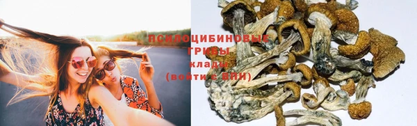 твердый Зеленокумск
