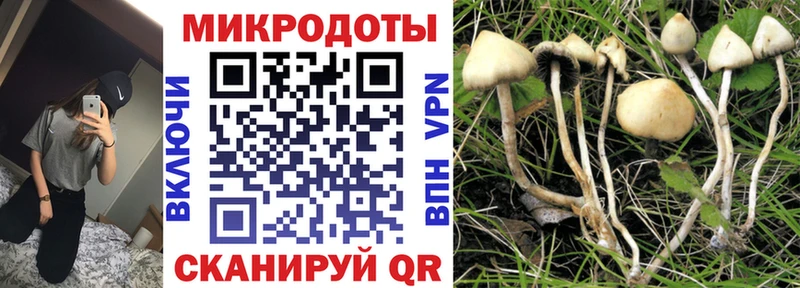 Псилоцибиновые грибы GOLDEN TEACHER  Купить закладки  Дзержинский 